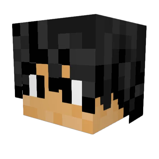 nitro_OwO Minecraft avatar head, 3D render