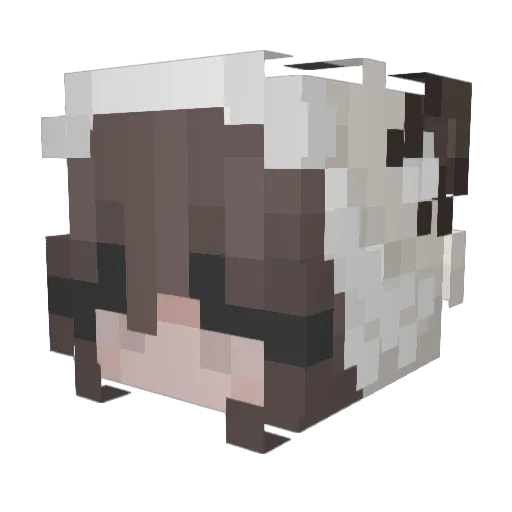 nitrogsen95 Minecraft avatar head, 3D render