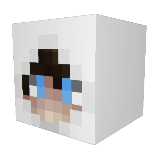 nitruq Minecraft avatar head, 3D render