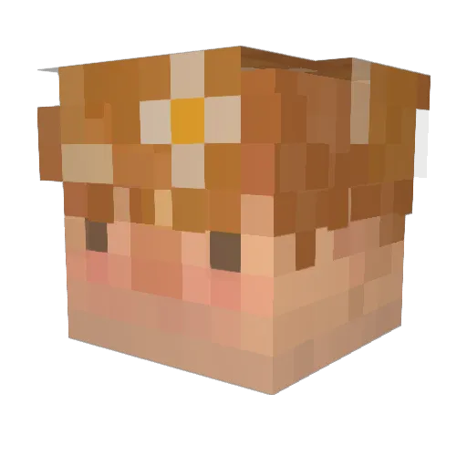 nitsandpoo Minecraft avatar head, 3D render