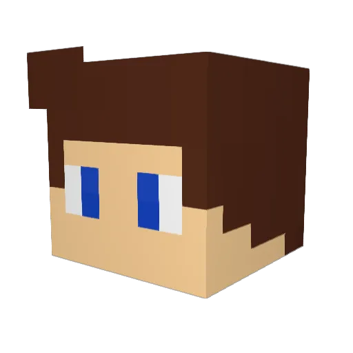 nitsuj777 Minecraft avatar head, 3D render
