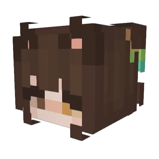 nitth Minecraft avatar head, 3D render