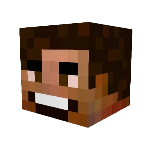 niwe Minecraft avatar head, 3D render