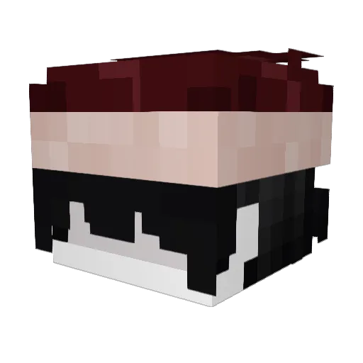 niwl Minecraft avatar head, 3D render
