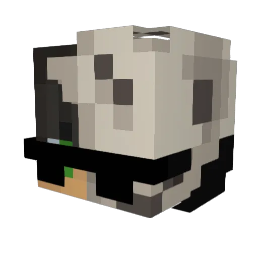 nixacik Minecraft avatar head, 3D render