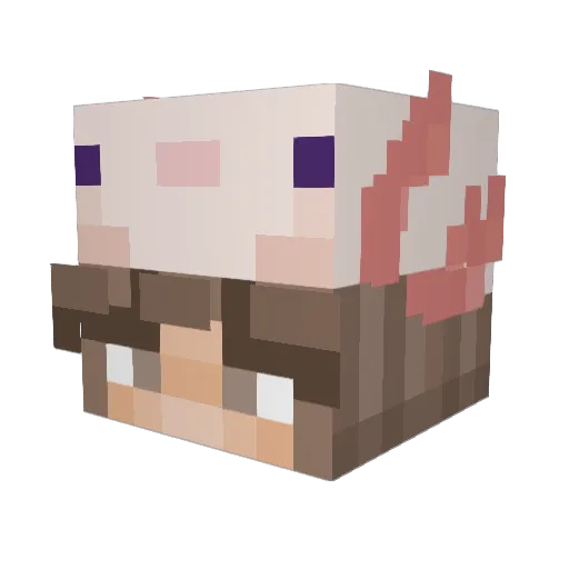 nixdaa Minecraft avatar head, 3D render