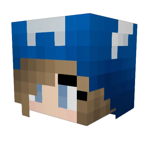 nixer90 Minecraft avatar head, 3D render