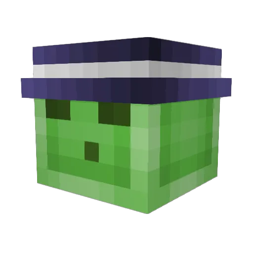 nixeron Minecraft avatar head, 3D render