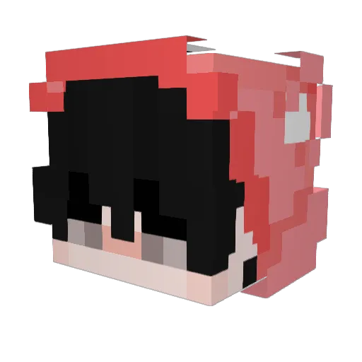 nixg_ Minecraft avatar head, 3D render