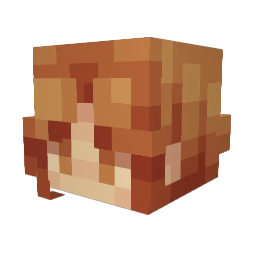 nixhammer34 Minecraft avatar head, 3D render