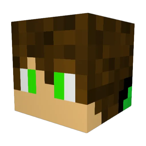 nixosone Minecraft avatar head, 3D render