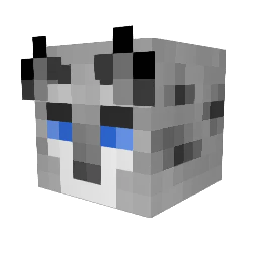 nixpardus10 Minecraft avatar head, 3D render