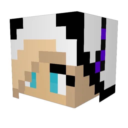 nixxtixx Minecraft avatar head, 3D render