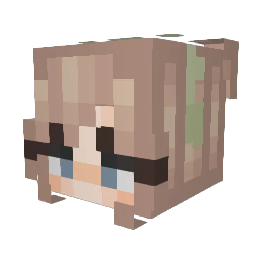 nixxuu Minecraft avatar head, 3D render