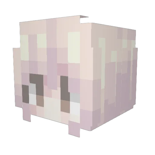 niydie Minecraft avatar head, 3D render