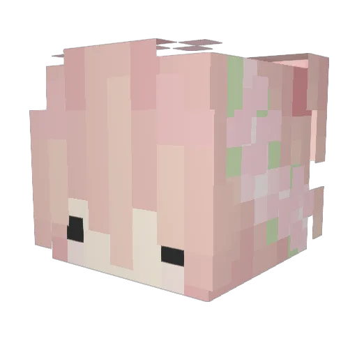 niyumz Minecraft avatar head, 3D render