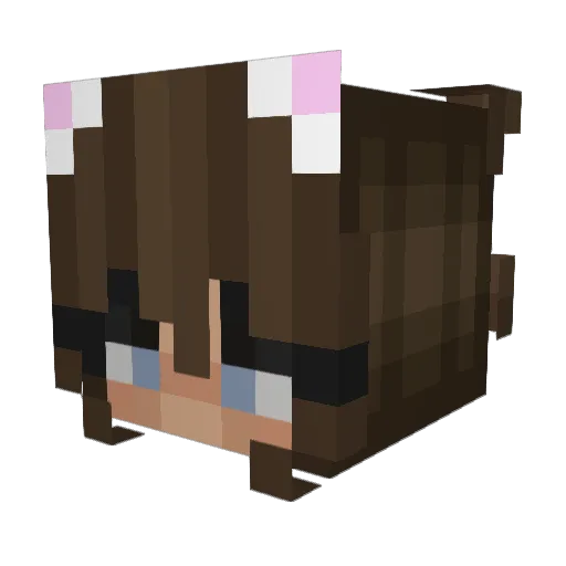 nizz__ Minecraft avatar head, 3D render