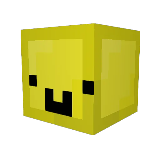njh2014 Minecraft avatar head, 3D render