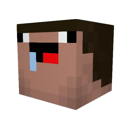 njp7 Minecraft avatar head, 3D render