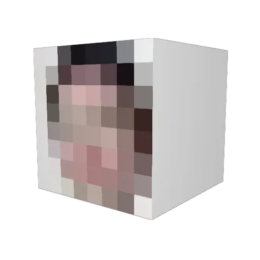 njw9898 Minecraft avatar head, 3D render