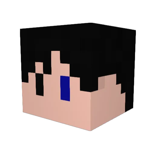 nkDash Minecraft avatar head, 3D render