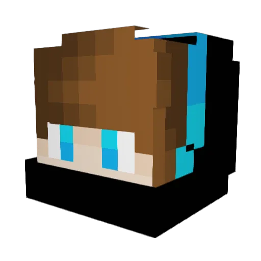 nk_N1C0 Minecraft avatar head, 3D render