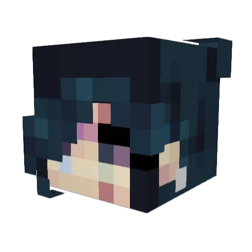 nkanyezi Minecraft avatar head, 3D render
