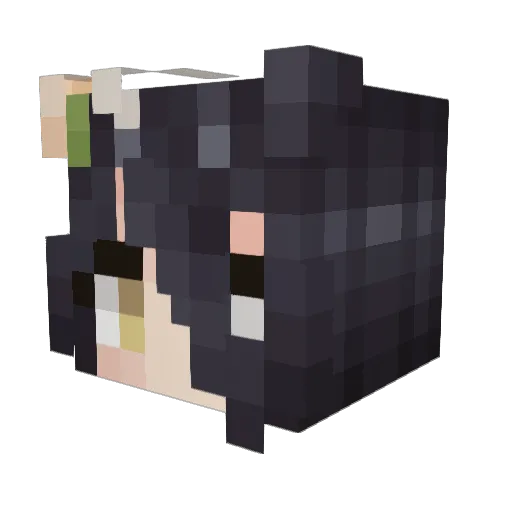 nkkkkkq Minecraft avatar head, 3D render