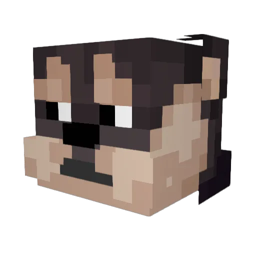 nkmxs Minecraft avatar head, 3D render
