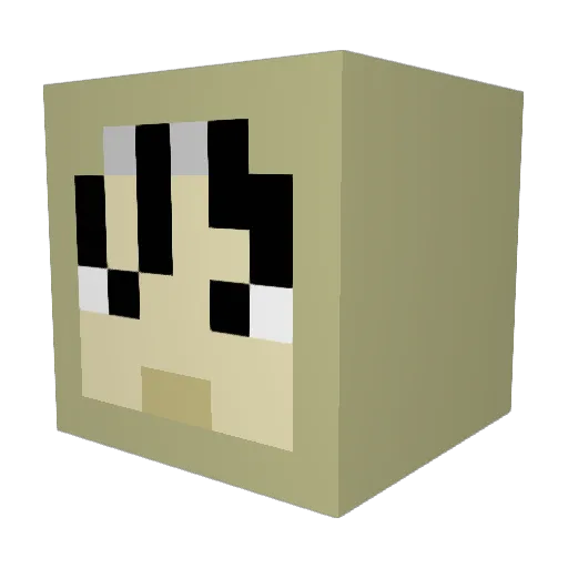 nknwn444 Minecraft avatar head, 3D render