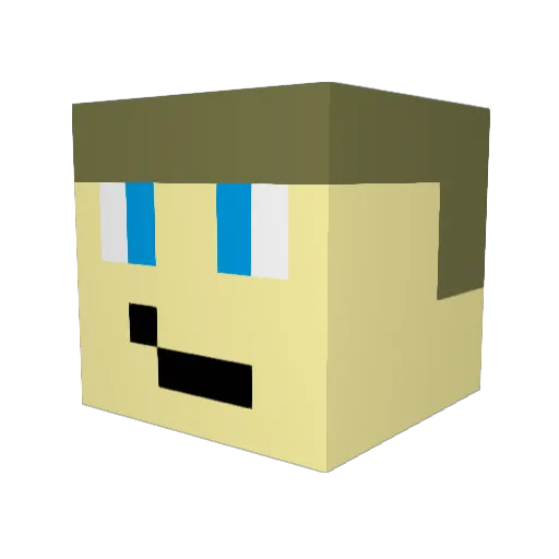 nkrs200 Minecraft avatar head, 3D render
