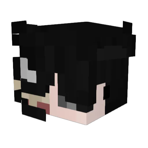 nksarada Minecraft avatar head, 3D render