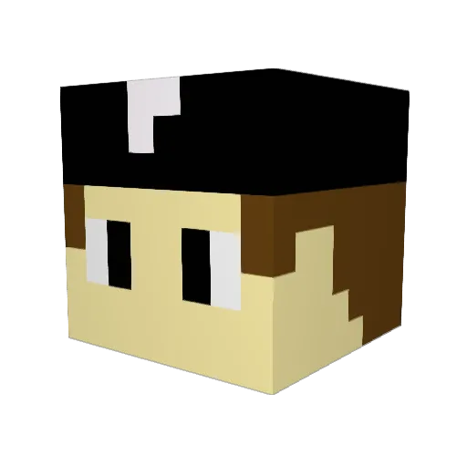nksm9 Minecraft avatar head, 3D render