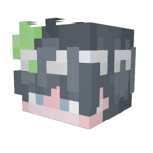 nkt132 Minecraft avatar head, 3D render