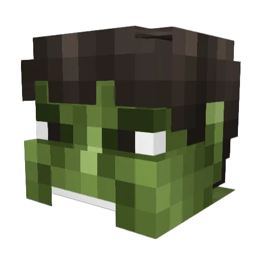 nkurtz123 Minecraft avatar head, 3D render