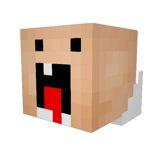 nl9313 Minecraft avatar head, 3D render