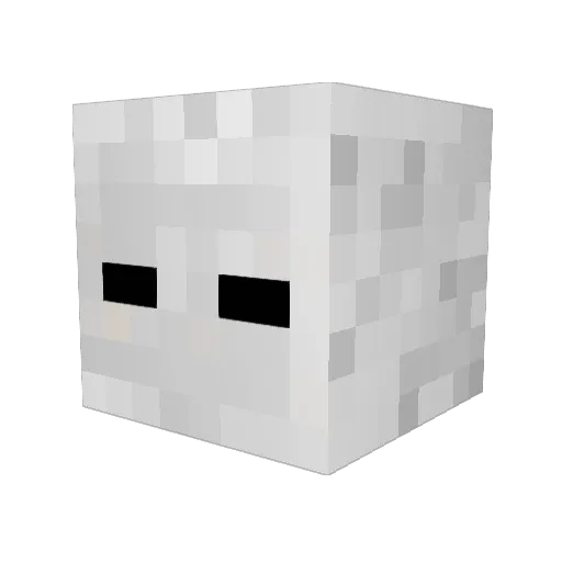 nlackbigger420 Minecraft avatar head, 3D render