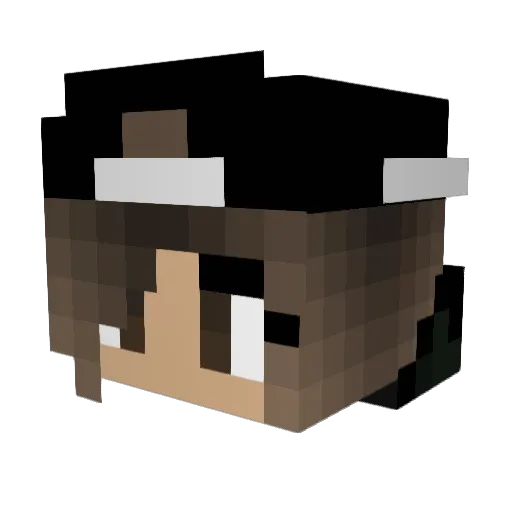 nlag1217 Minecraft avatar head, 3D render