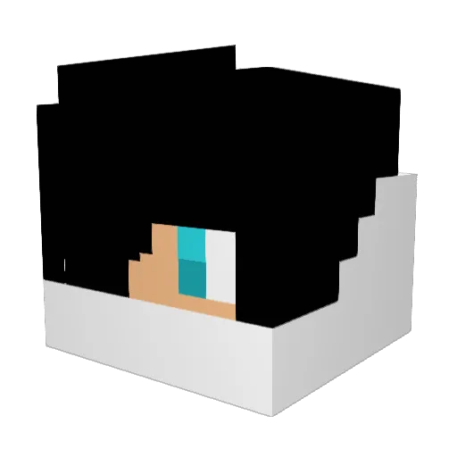 nlaird619 Minecraft avatar head, 3D render