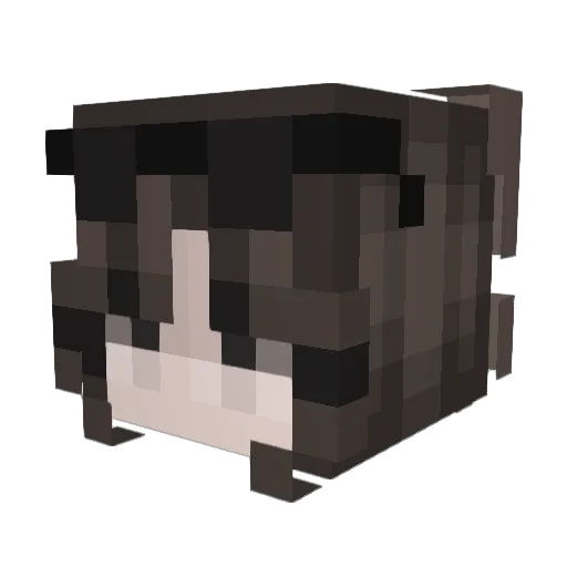 nlhensh Minecraft avatar head, 3D render