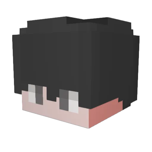 nlu9 Minecraft avatar head, 3D render