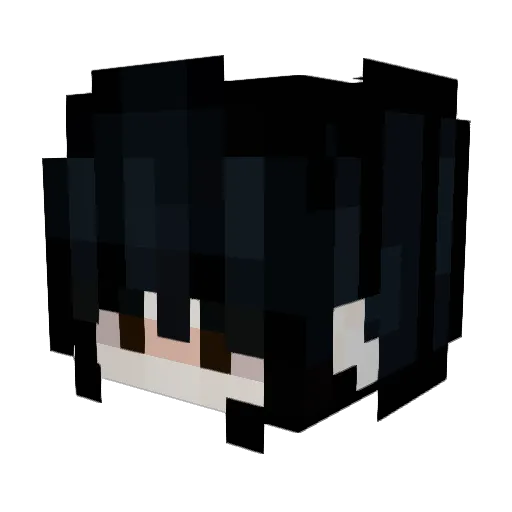 nlwy Minecraft avatar head, 3D render