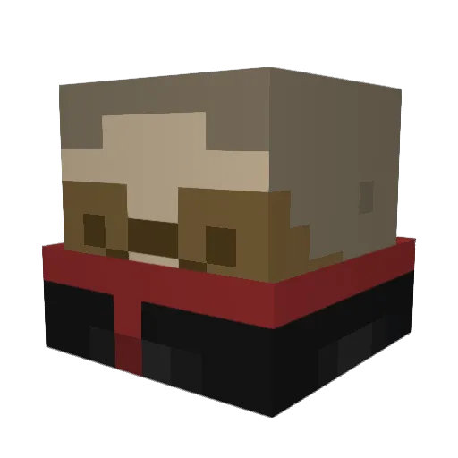 nman617 Minecraft avatar head, 3D render