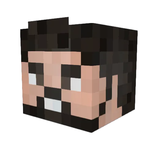 nmap42 Minecraft avatar head, 3D render