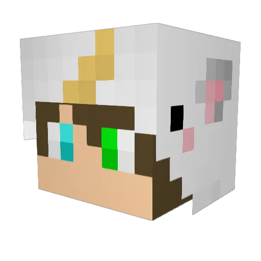 nmmhh Minecraft avatar head, 3D render