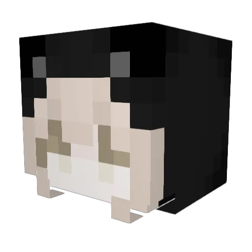 nnaeri Minecraft avatar head, 3D render