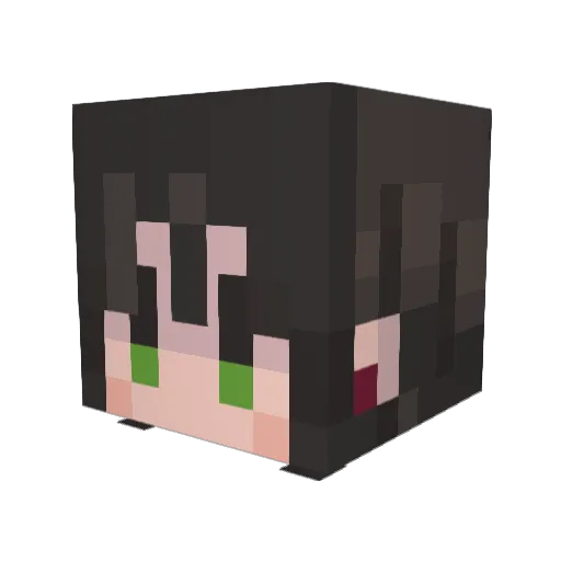 nnewjeanss Minecraft avatar head, 3D render