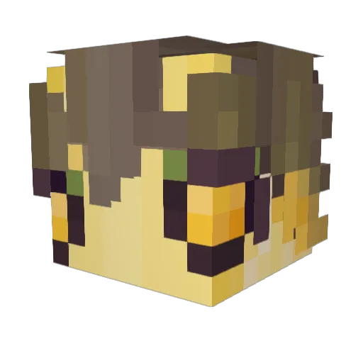 nnichhe Minecraft avatar head, 3D render