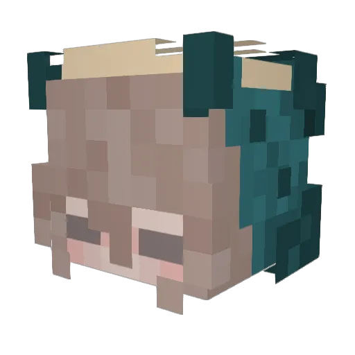 nnlii Minecraft avatar head, 3D render