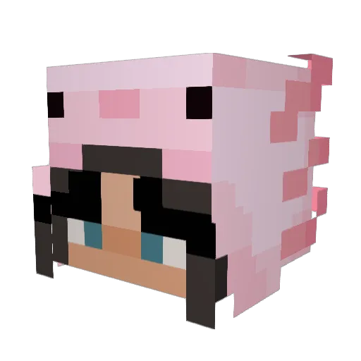 nnniki13 Minecraft avatar head, 3D render